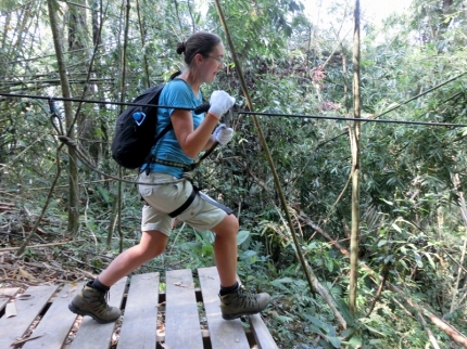 gibbon (15)